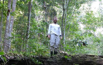 Researcher standing in the tropical forest at the Huai Kha Khaeng Wildlife Sanctuary in Thailand.